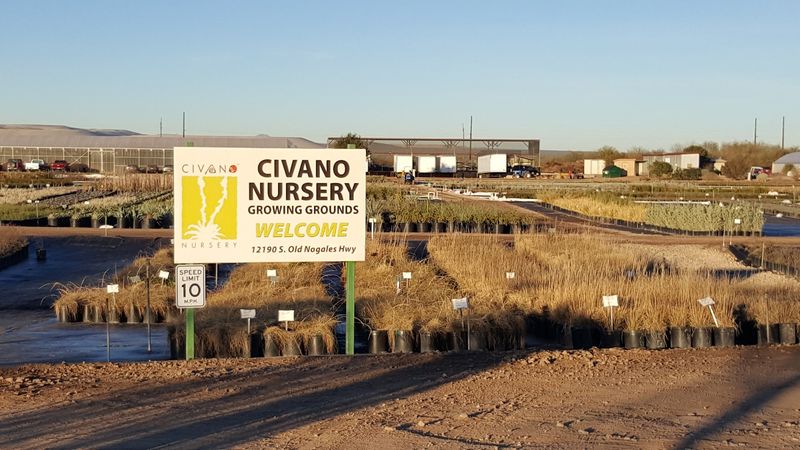 Civano Growers: The 70-Acre Farm Powering It All Civano Growers: The 70-Acre Farm Powering It All