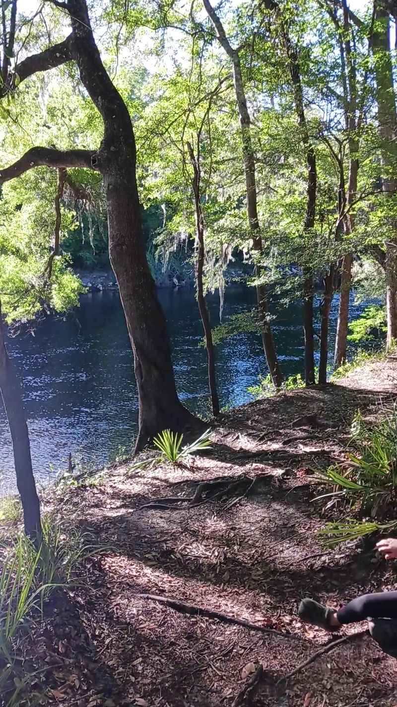 Civil War Earthworks In The Woods