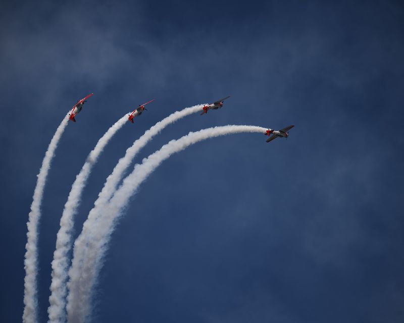 Civilian Stunt Pilots Who Steal The Show