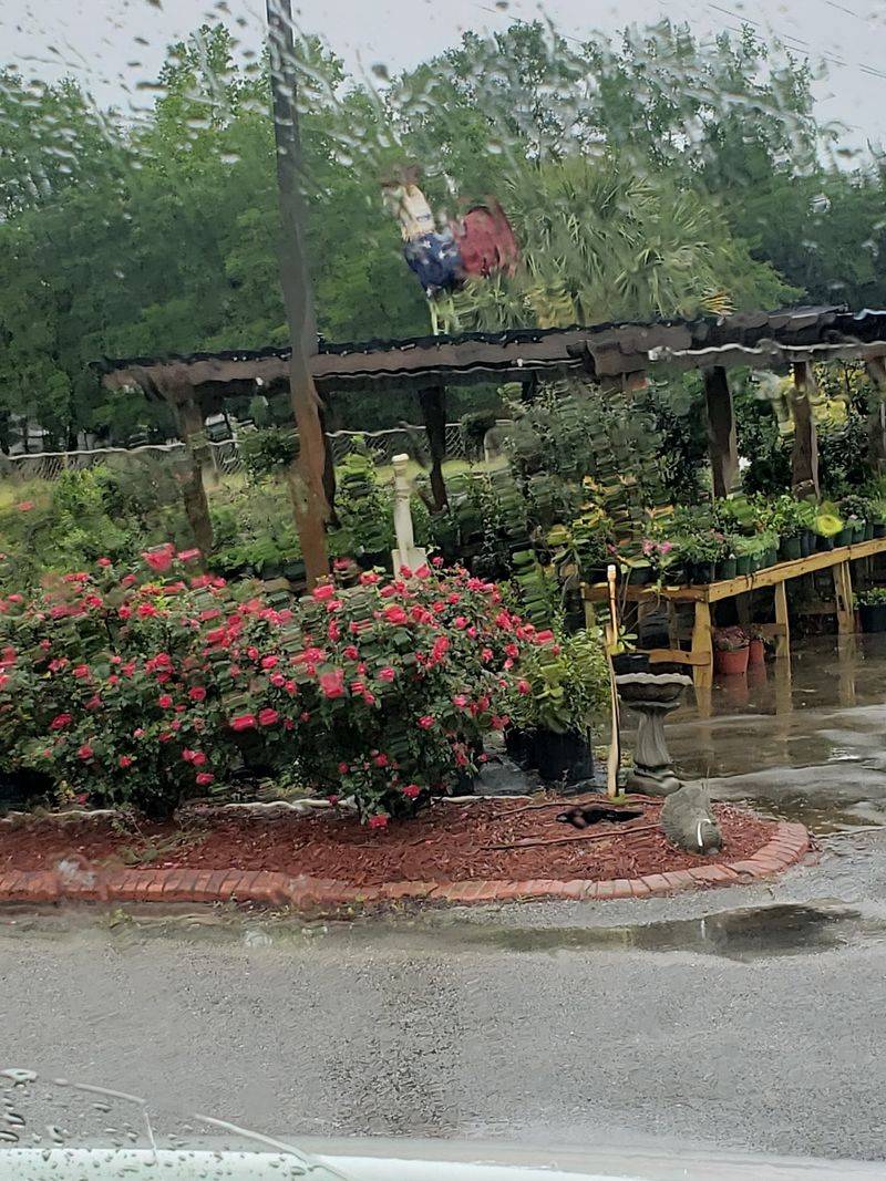 Claim A Fire Pit And Get Sticky