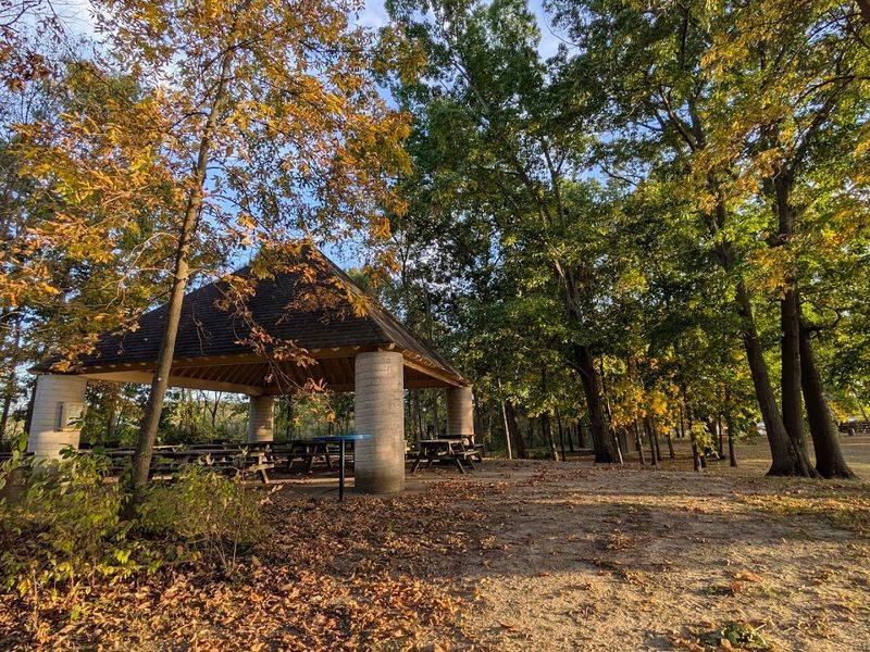 Claim Shade Early If Picnicking Matters To You