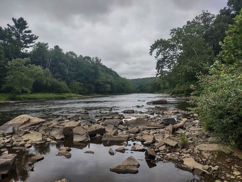 Clarion River Campsites, Allegheny National Forest, Pennsylvania