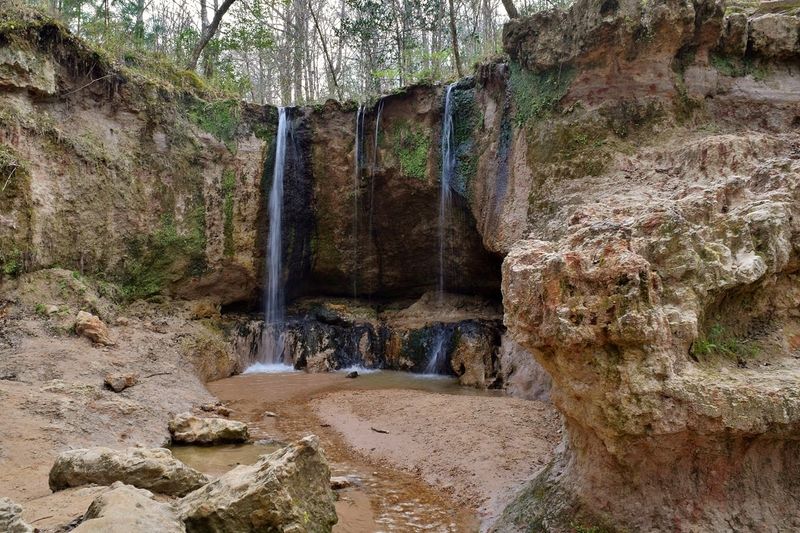 Clark Creek Natural Area