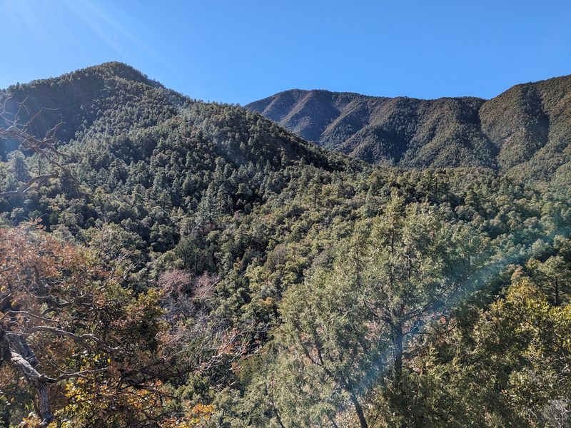 Clark Peak Corrals Dispersed Camping, Pinaleno Mountains