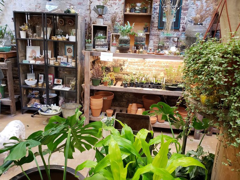 Classes, Plant Swaps, And A Garage That Gives Back Classes, Plant Swaps, And A Garage That Gives Back