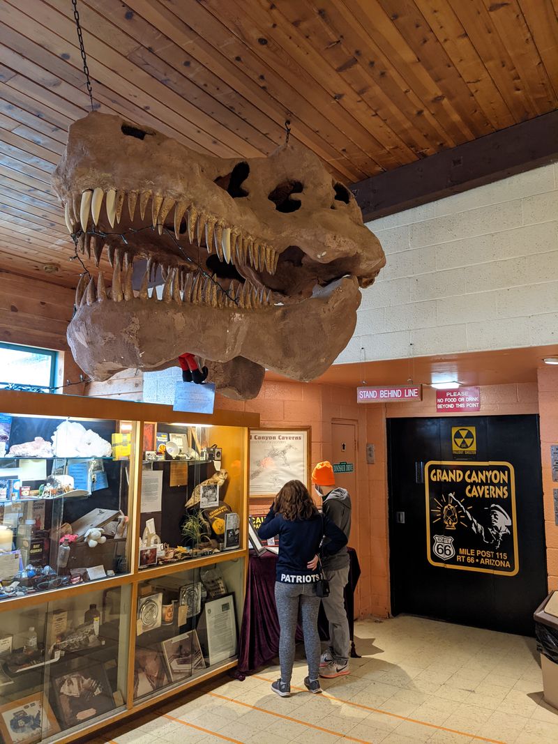 Tour And Meal Package Deal