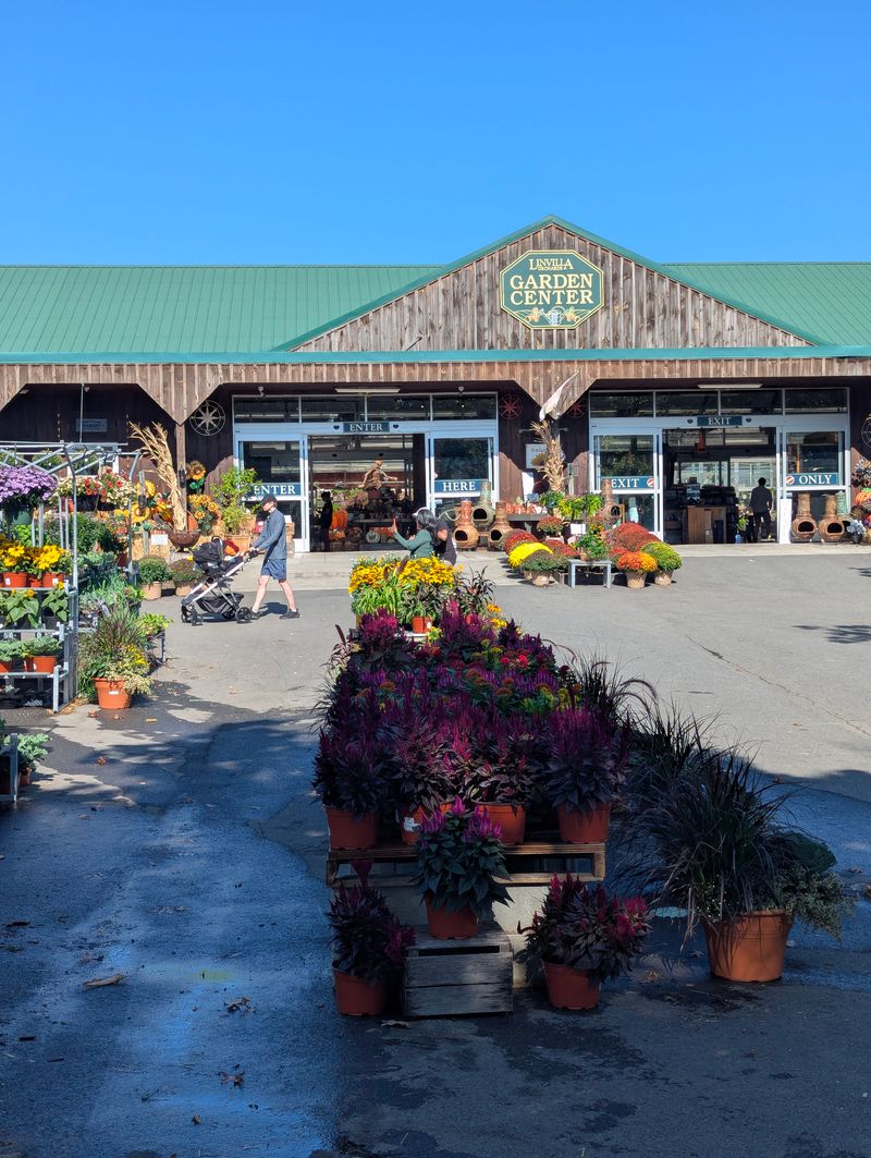 Apple Cider Doughnuts — Linvilla Orchards — Media, PA
