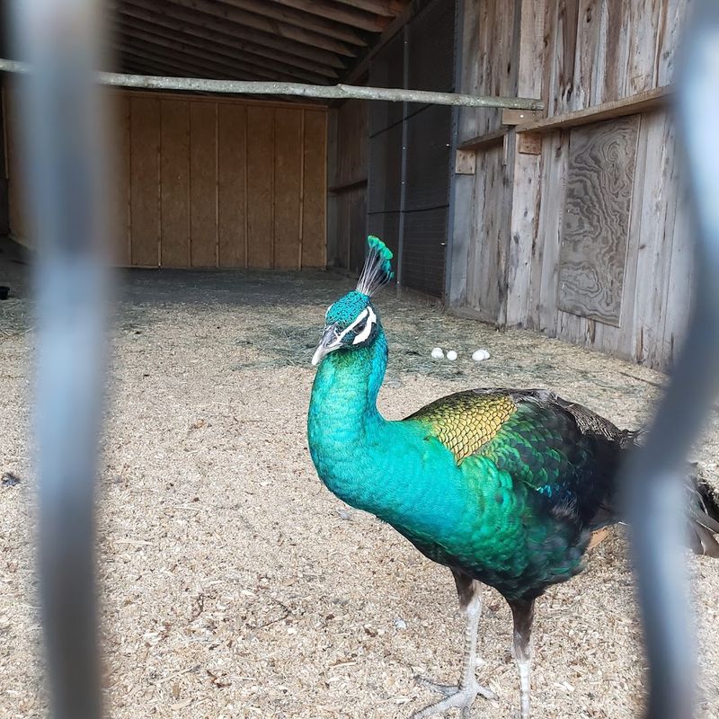 Seasonal Hours and Private Tour Options