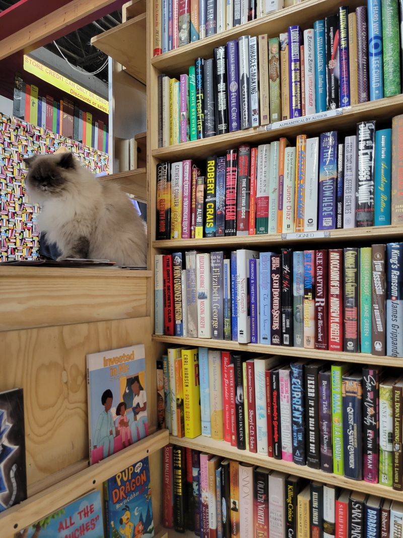 Friendly Staff And Owner Create Welcoming Atmosphere