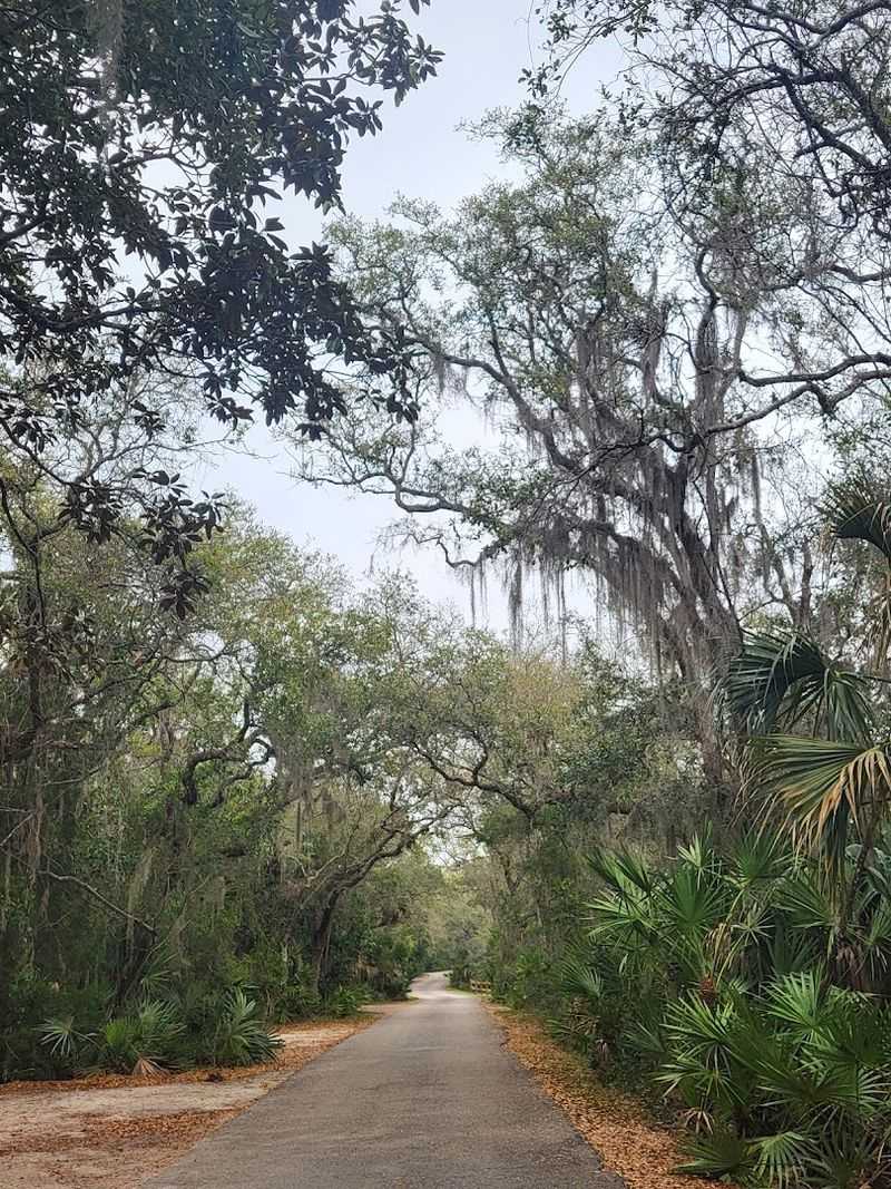 Sunrise Views That Justify Waking Up Early