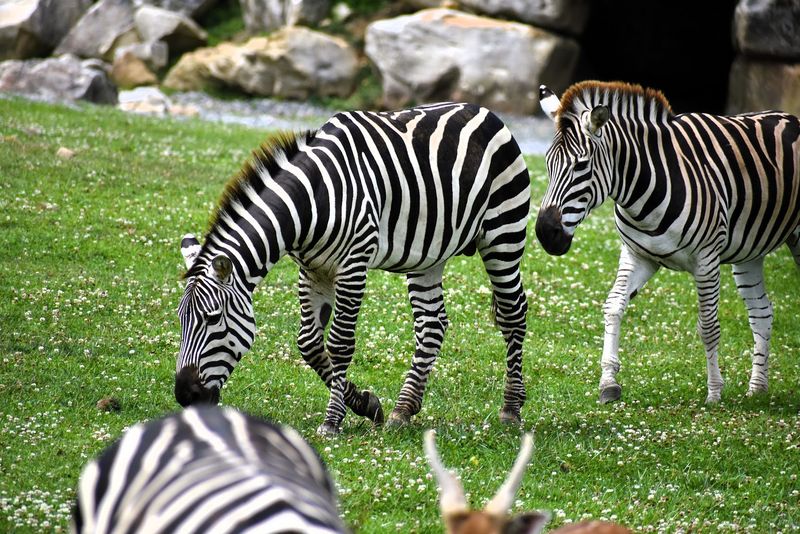 Pricing, Memberships, And Practical Visitor Tips