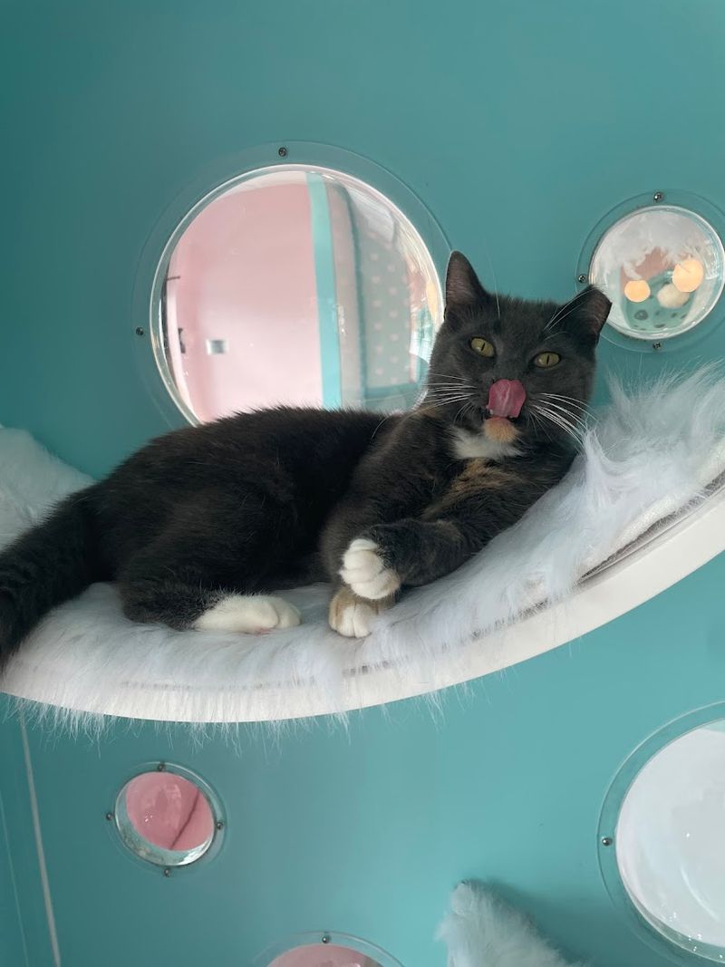 Best Times to Visit and Practical Tips