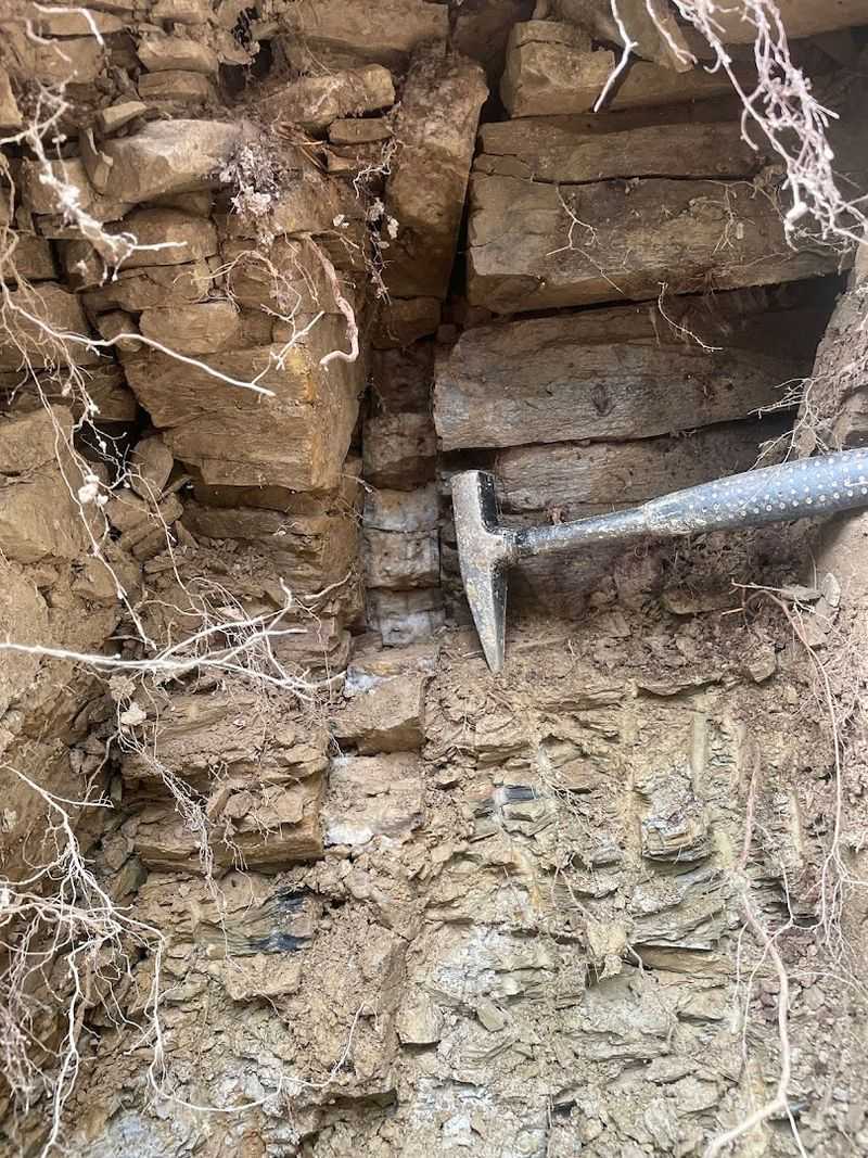 Daytime Digging And Night UV Hunts