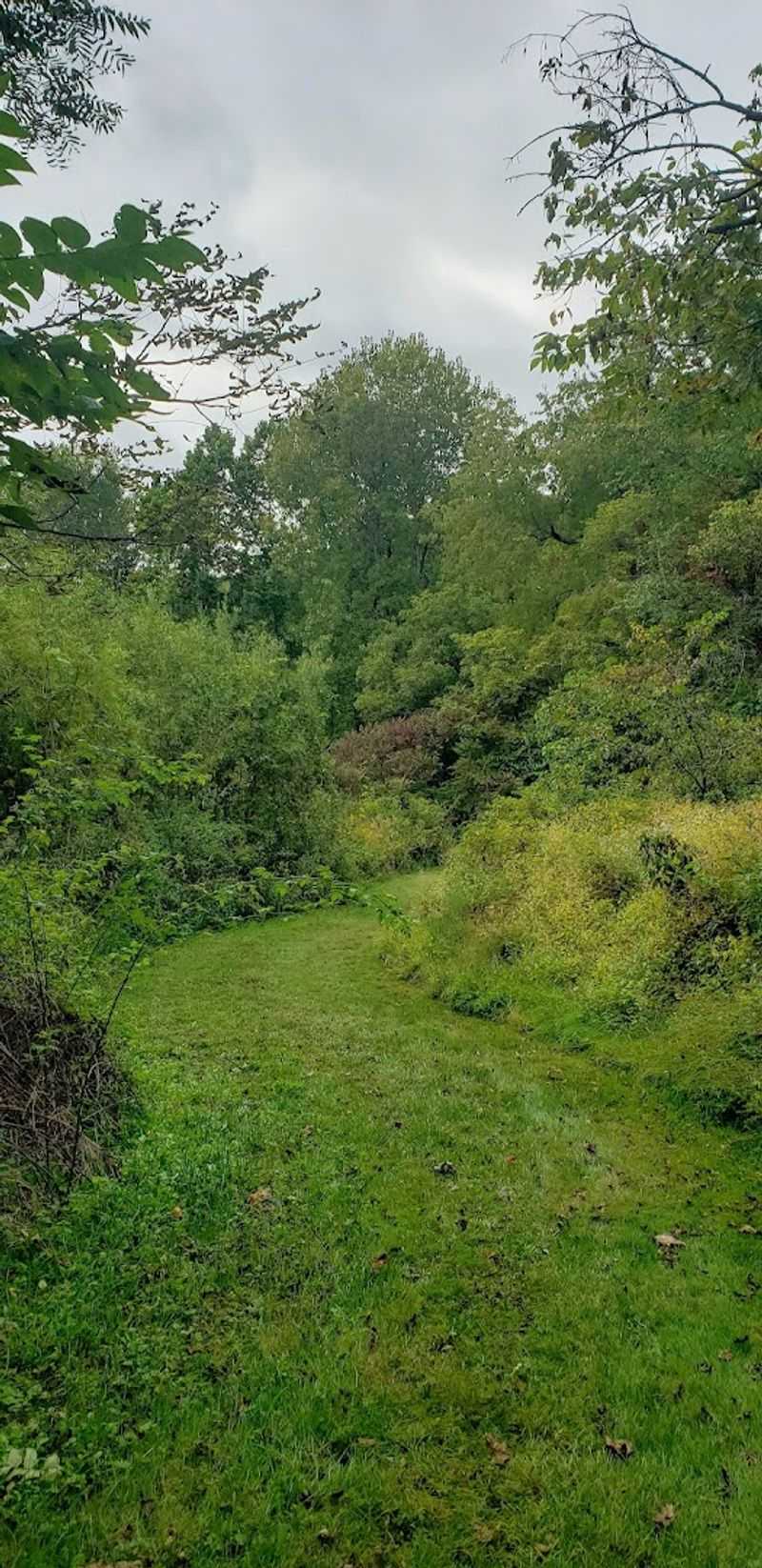 Clear Creek Metro Park Creekside Meadows, Rockbridge, Ohio