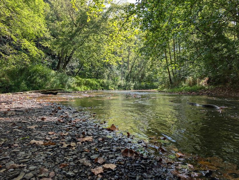 Clear Creek Metro Park, Rockbridge, OH