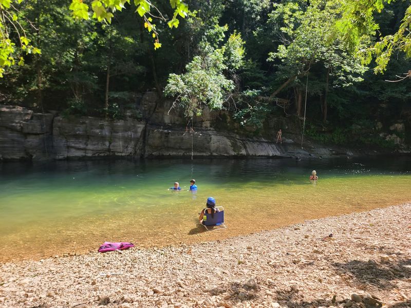 Clear Water Pools Framed By Woodland Light