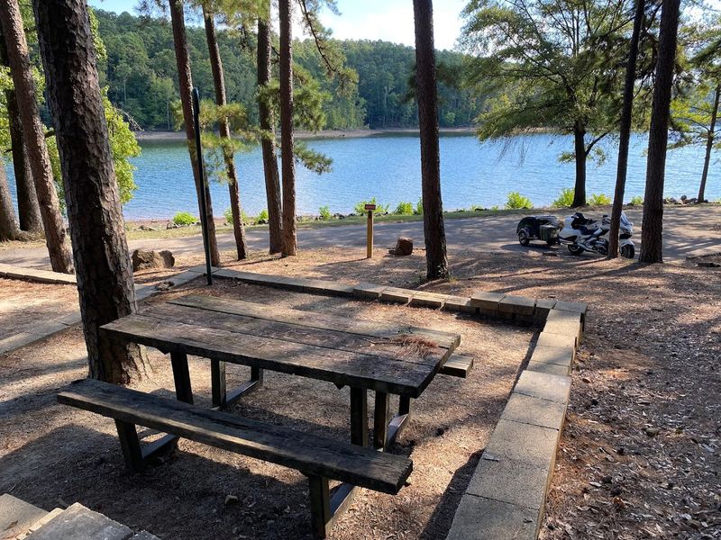 Camping Under The Pines
