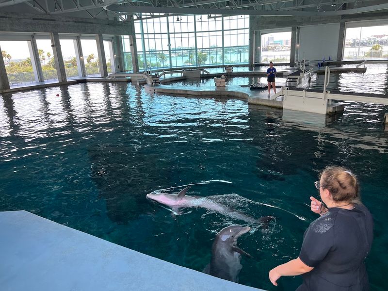 Clearwater Marine Aquarium, Clearwater Clearwater Marine Aquarium, Clearwater