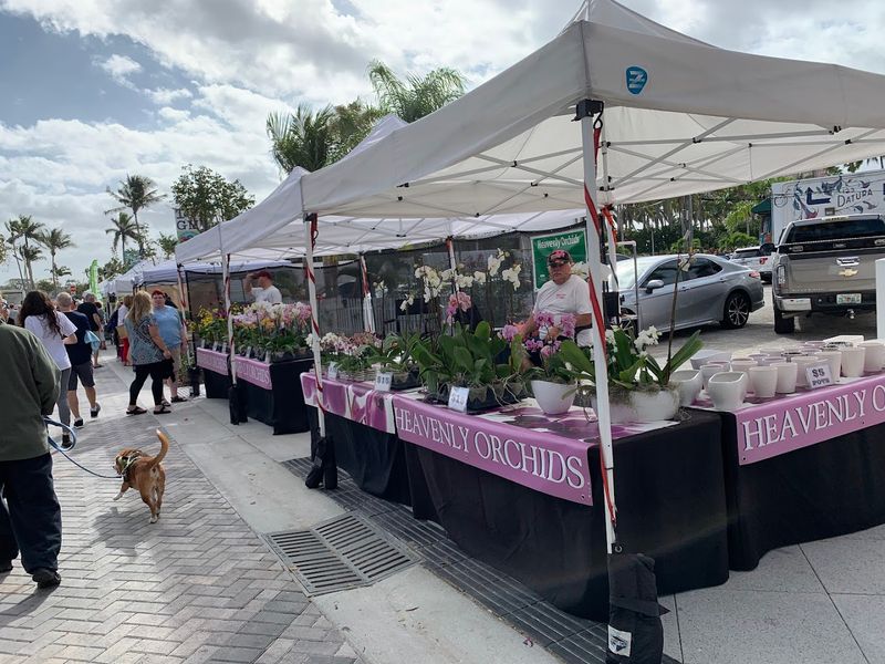 Clematis GreenMarket, West Palm Beach