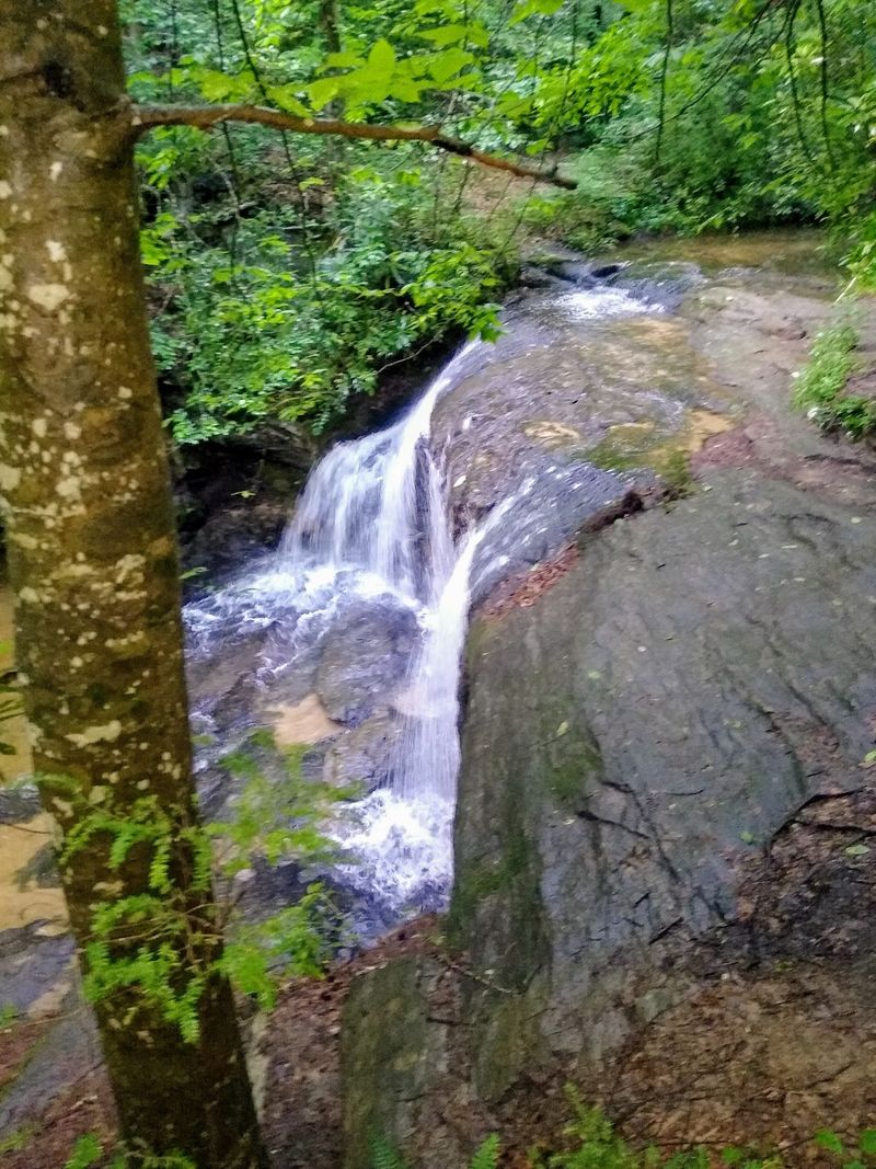 Cleveland, Greenville County