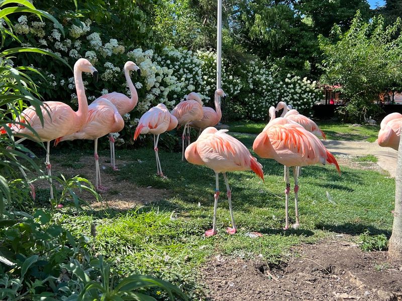 Cleveland Metroparks Zoo, Cleveland