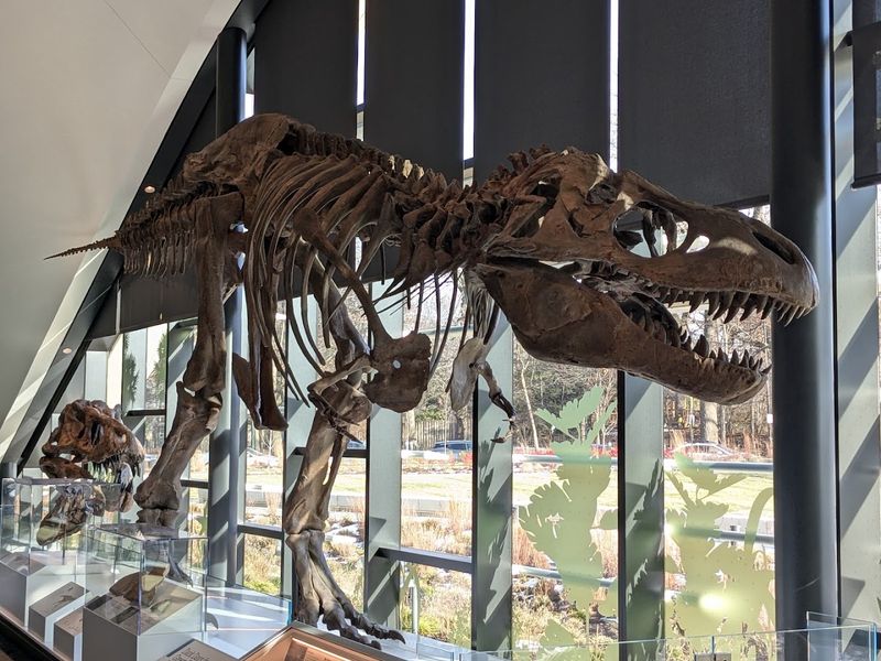 Cleveland Museum Of Natural History, Cleveland