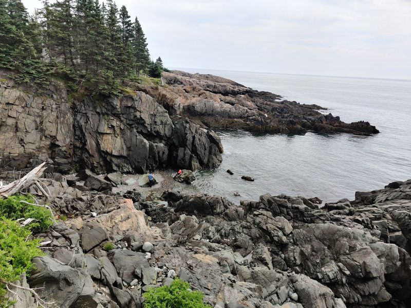 Cliffside Trails And Bug-Eating Bogs