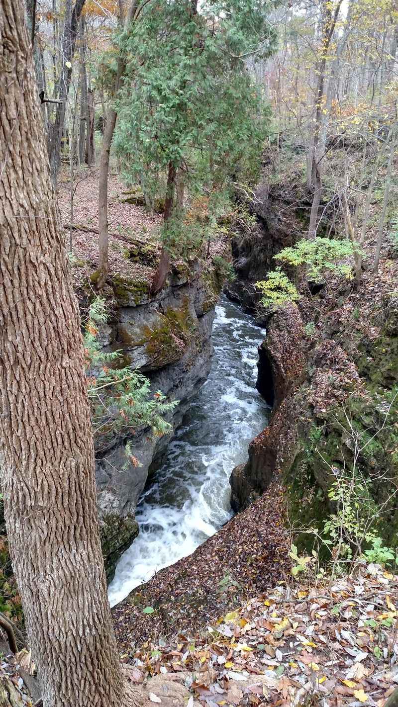 Clifton Gorge State Nature Preserve, Yellow Springs Clifton Gorge State Nature Preserve, Yellow Springs