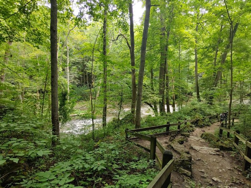 Clifton Gorge Trail, Yellow Springs