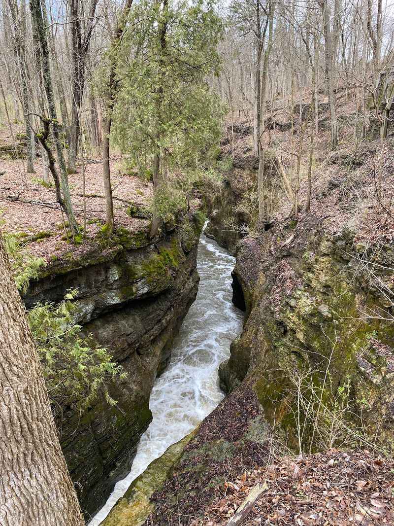 Clifton Gorge Trails, Clifton Gorge State Nature Preserve