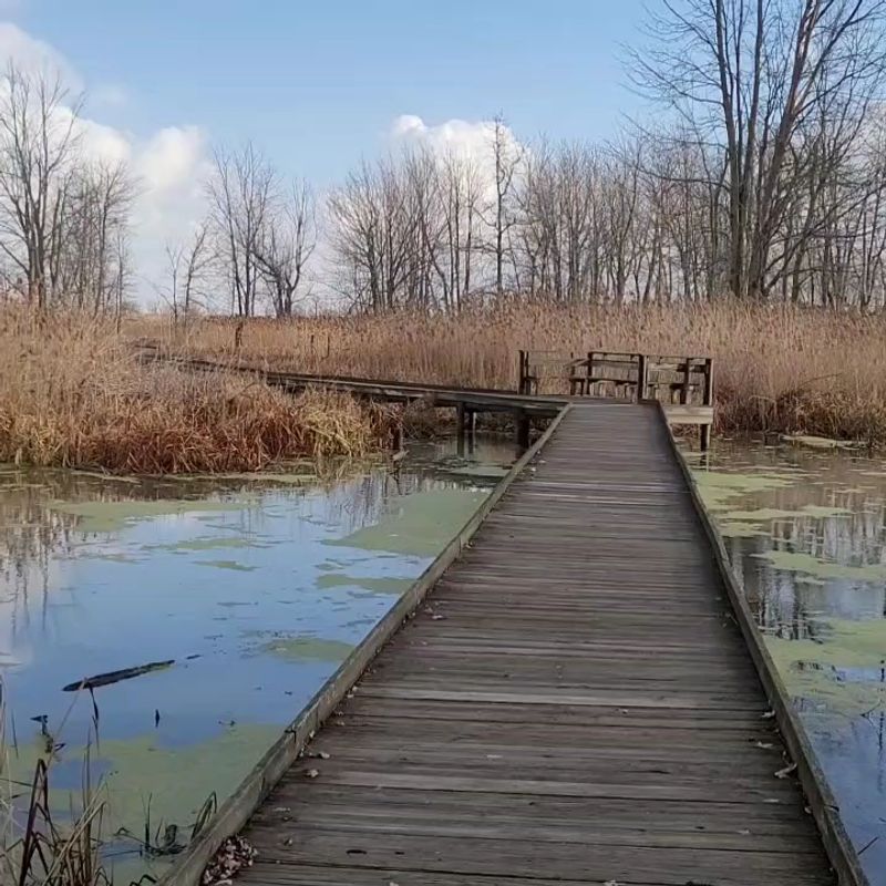 Maumee Bay State Park, Oregon