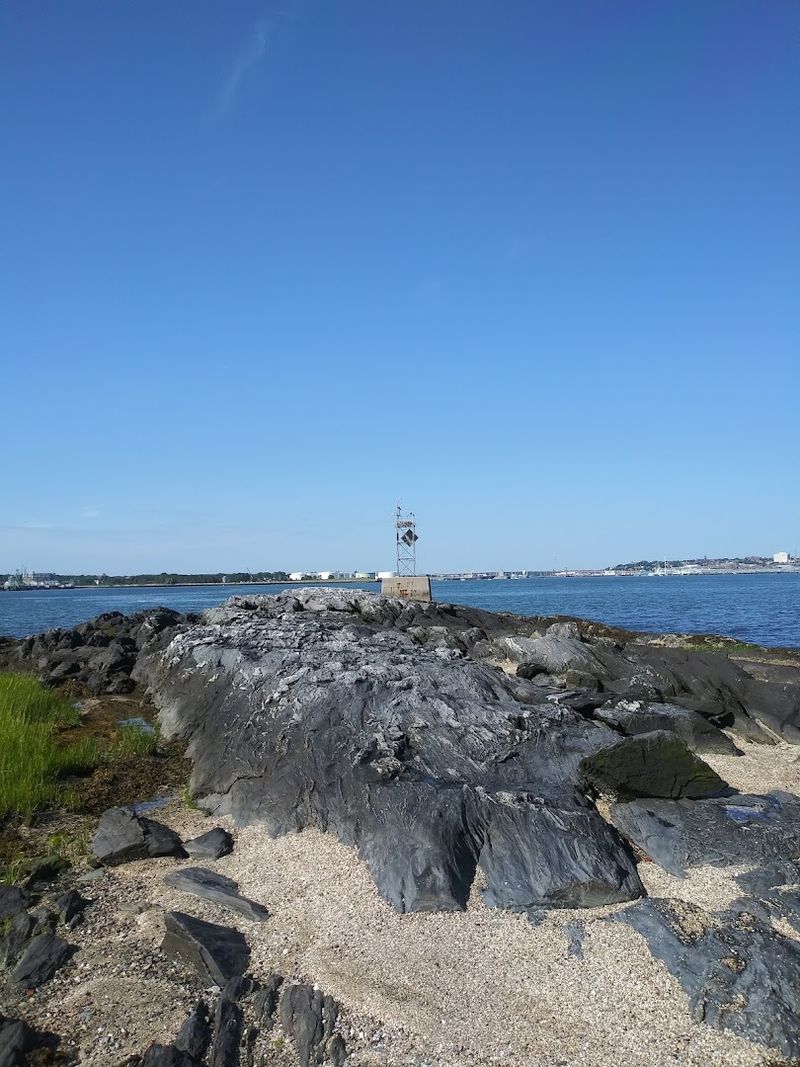 Wildlife All Around You