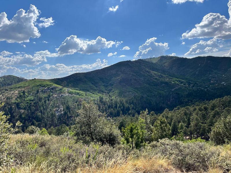 Climb Mount Lemmon Above Tucson, Arizona