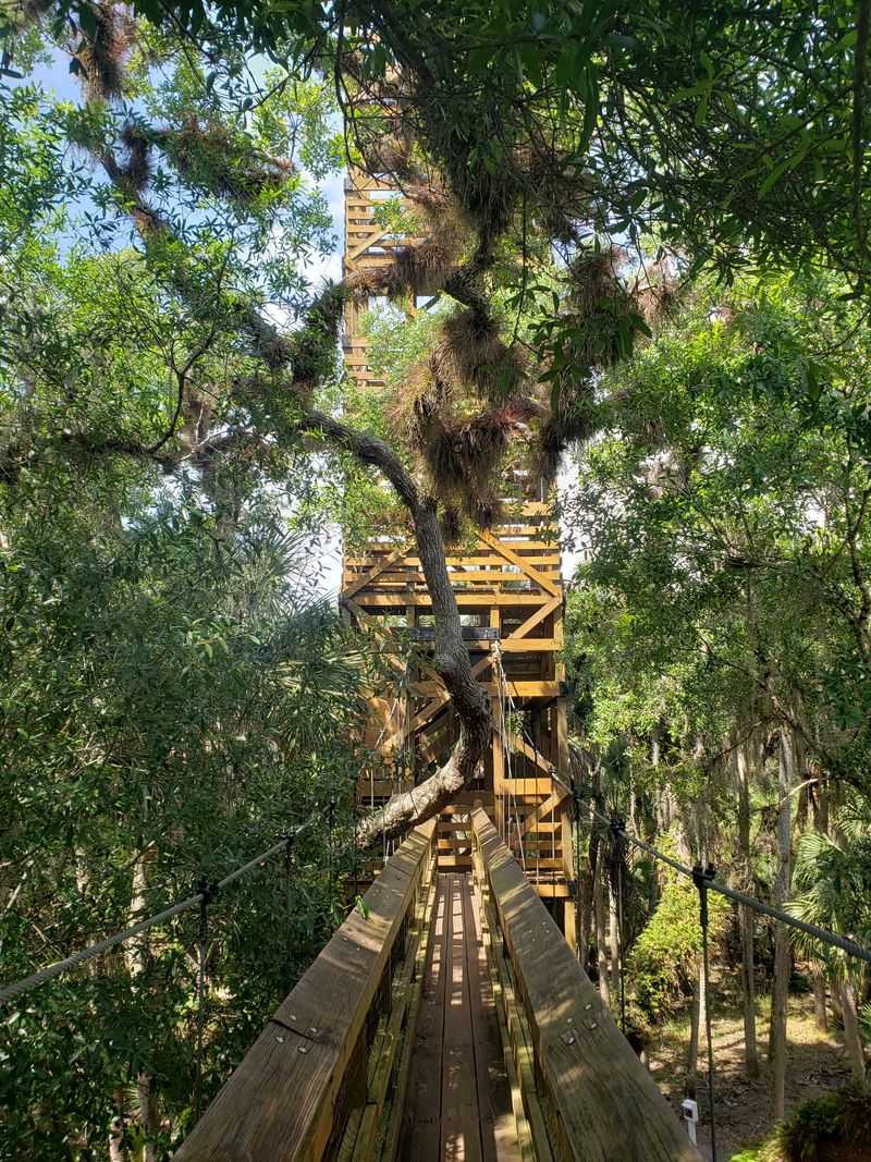 Tune Into The Park’s Soundscape