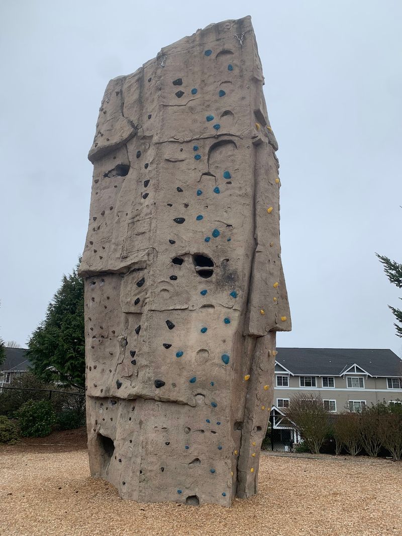 Climbers And Ladders For Every Skill Level