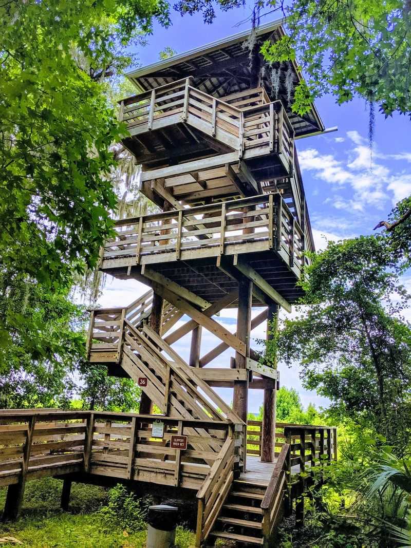Climbing The Observation Tower