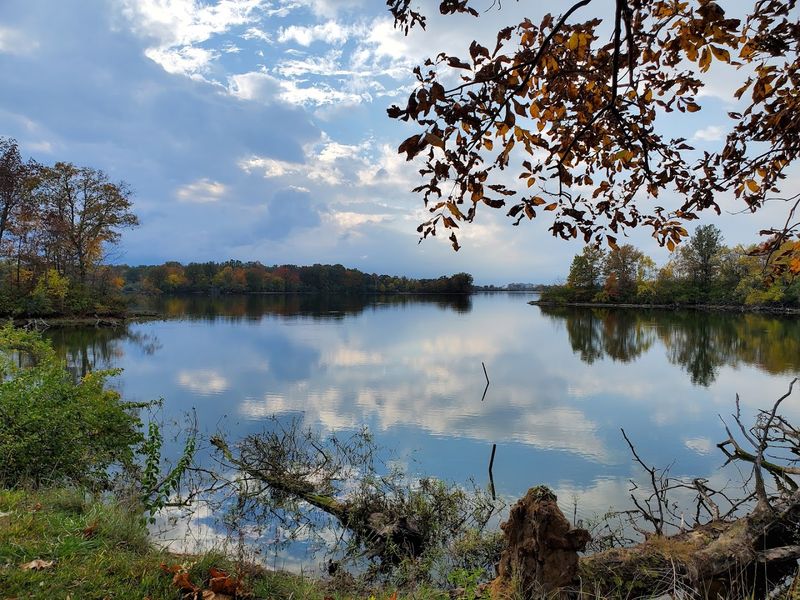 Sangchris Lake State Park, Rochester