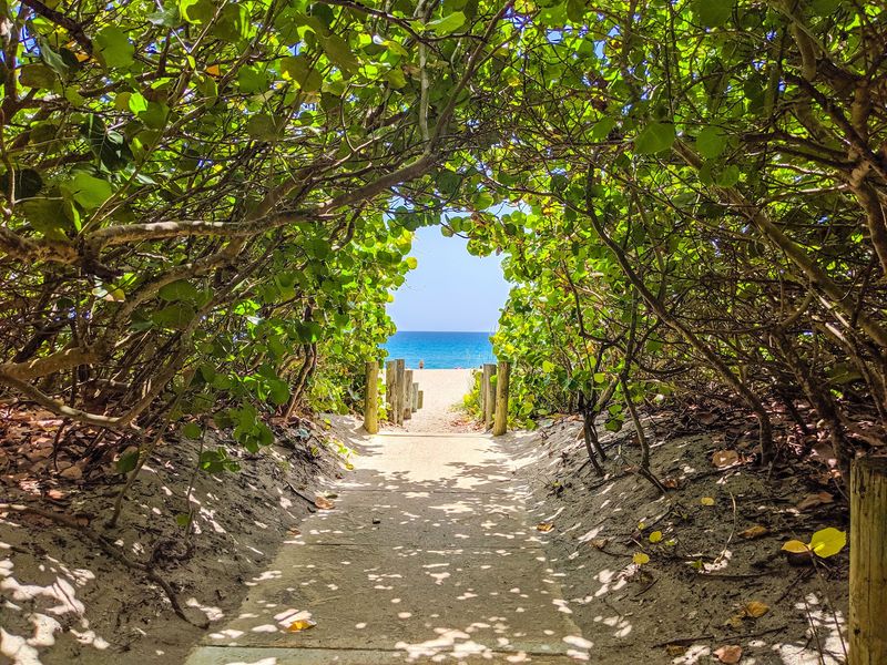 Close To A Dog Friendly Beach