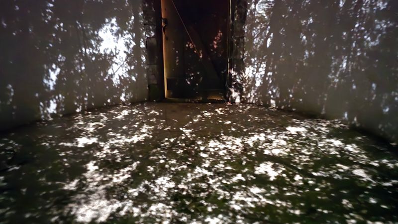 Cloud Chamber For The Trees And Sky