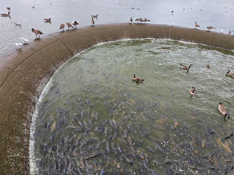 Pymatuning Spillway Area & Trail, PA
