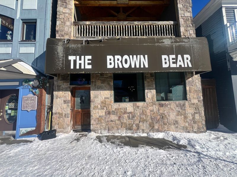 Brown Bear, Pentwater