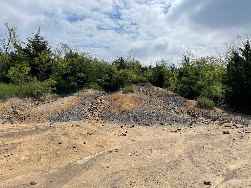 Coal Country That Grew Back Into Wild Land