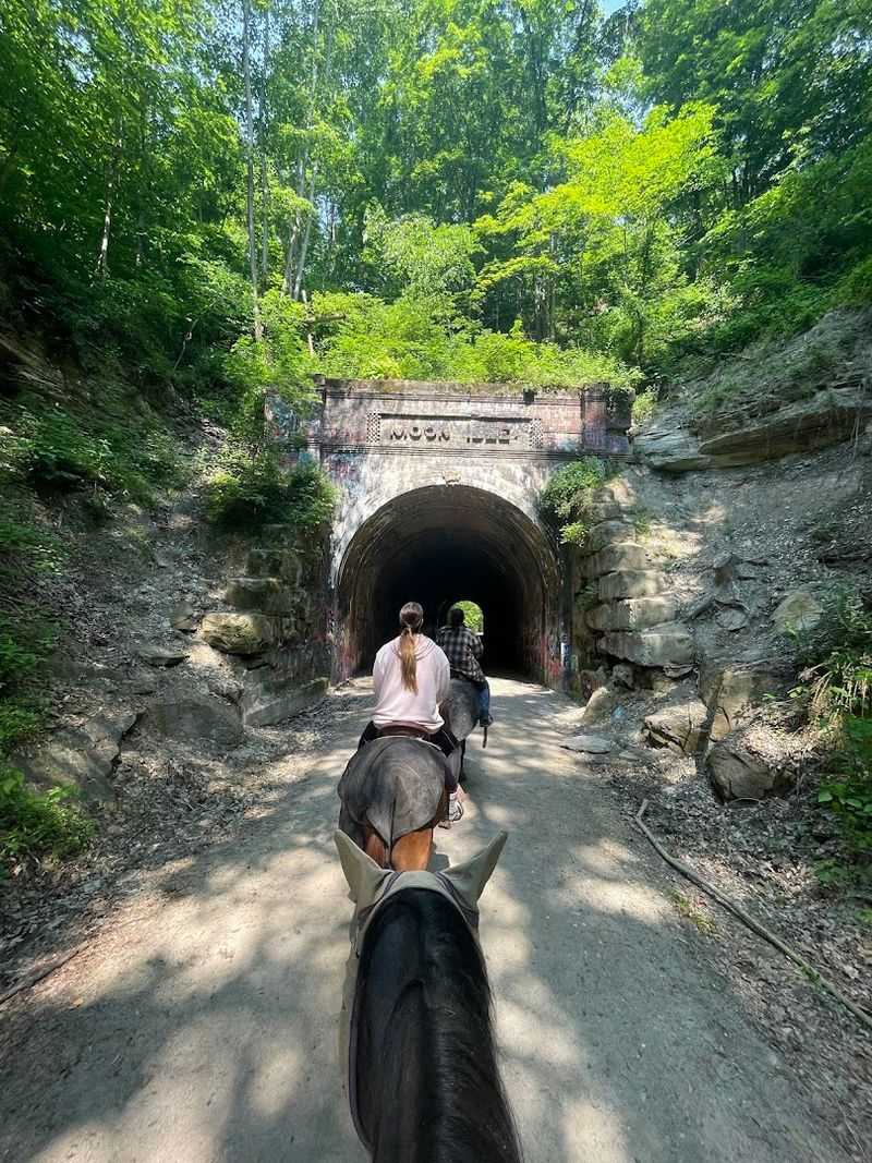 Coal Country Trails Through Zaleski State Forest