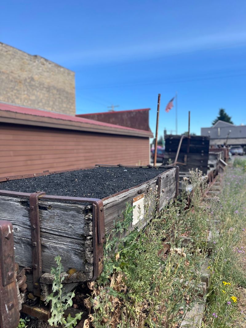 Coal, Not Timber, Built This Mountain Town