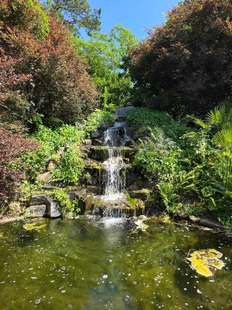 Coastal Georgia Botanical Gardens