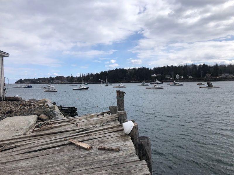 The Harbor As The Heart Of The Village