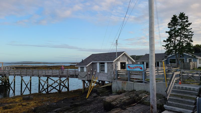 Wildlife Around The Bridge