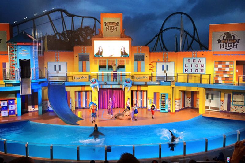 Aquariums That Sparkle Like Frozen Cathedrals