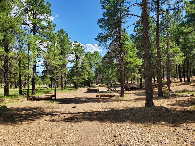 Coconino County Coconino County