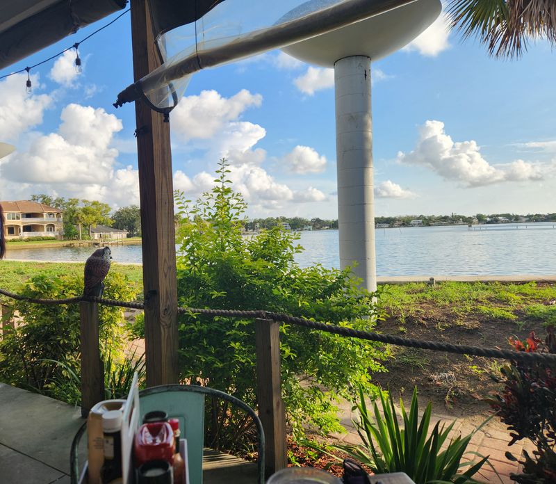 Waterfront Social - Crystal River